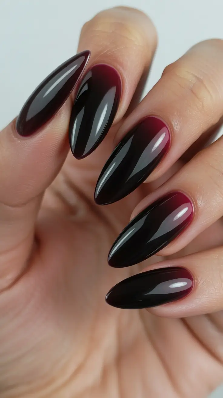 gel nails Black to Wine Ombre With High Gloss Drama
