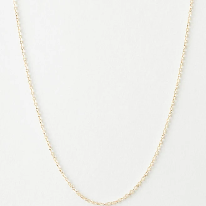 accessory 14K Gold Fill Dainty Chain GLDN $48