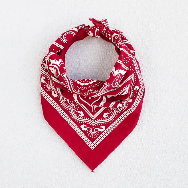 accessory Classic Bandana Etsy - maryink $25