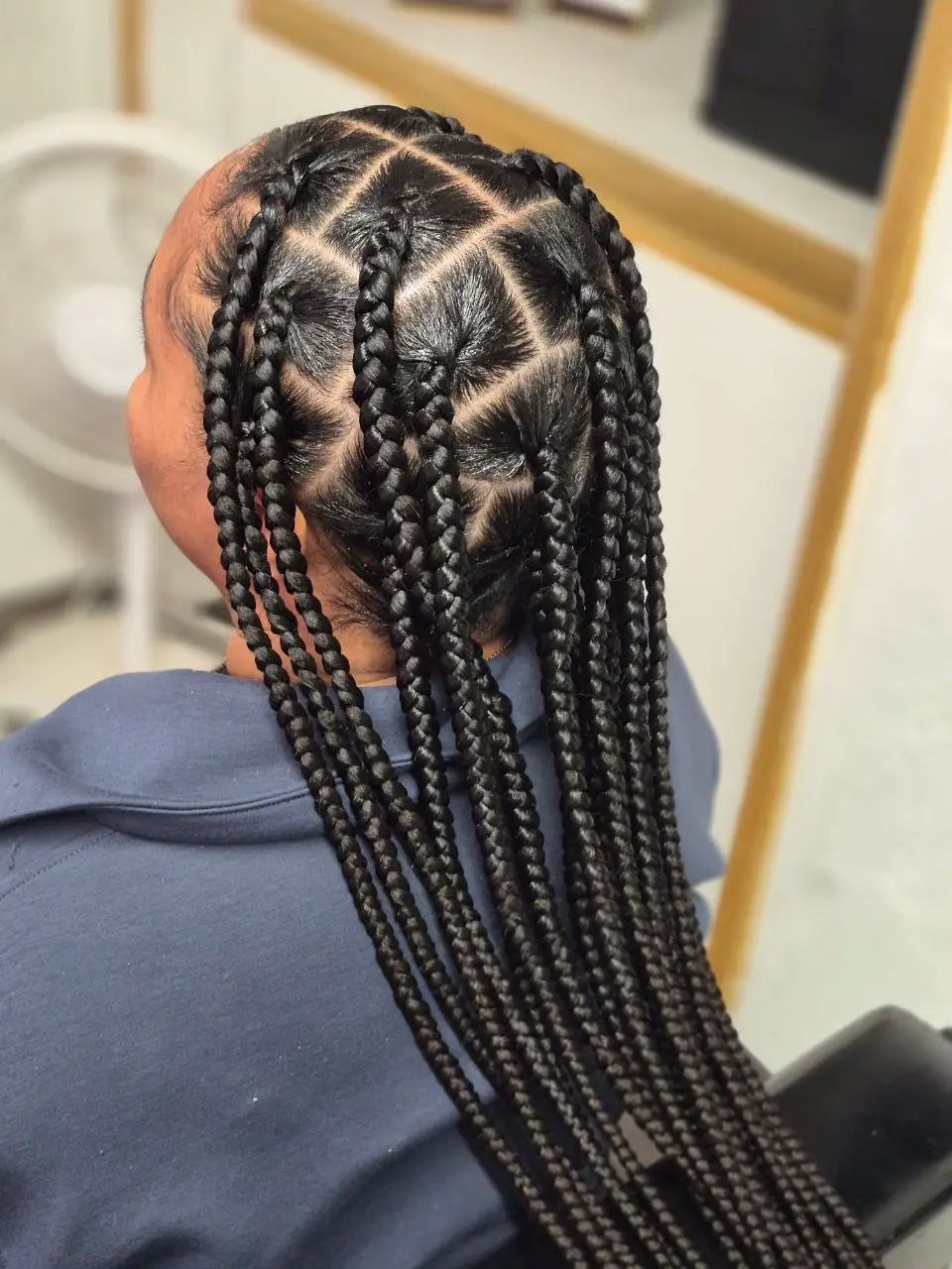 No Bangs Visual Idea — Winter Braid Colors 2027 for Black Women