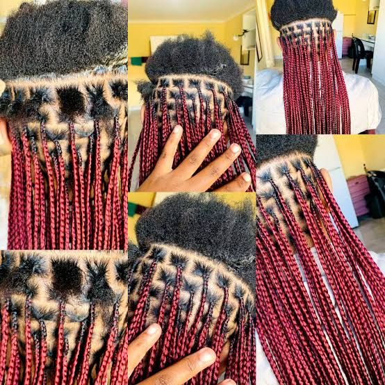 Black With Pink And Purple Highlights Visual Idea Black With Pink And Purple Highlights Visual Idea — Box Braids 2027 for Prom
