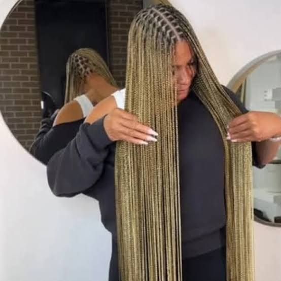 Blonde Visual Idea — Long Knotless Braids 2027