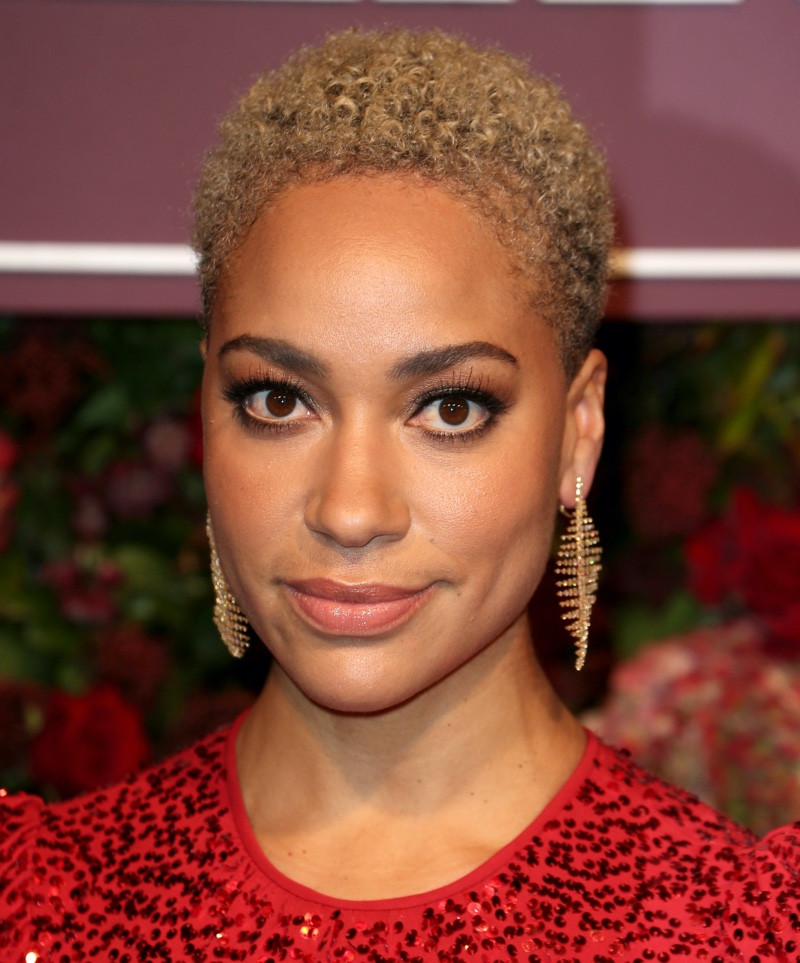 Curly Blonde Highlighted Pixie — Pixie Cut 2027 for Black Women