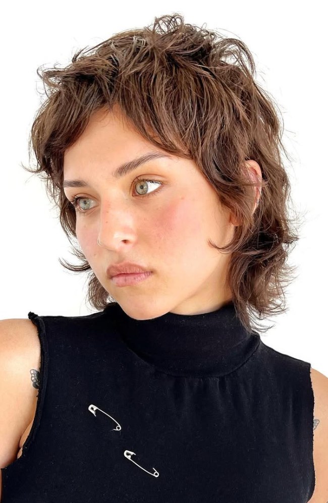 Medium Brown Shag With Mullet Layers Medium Brown Shag With Mullet Layers — Short Shag 2027
