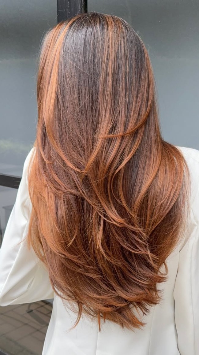 Deep Brown With Copper Auburn Highlights — Burnished Brunette 2027