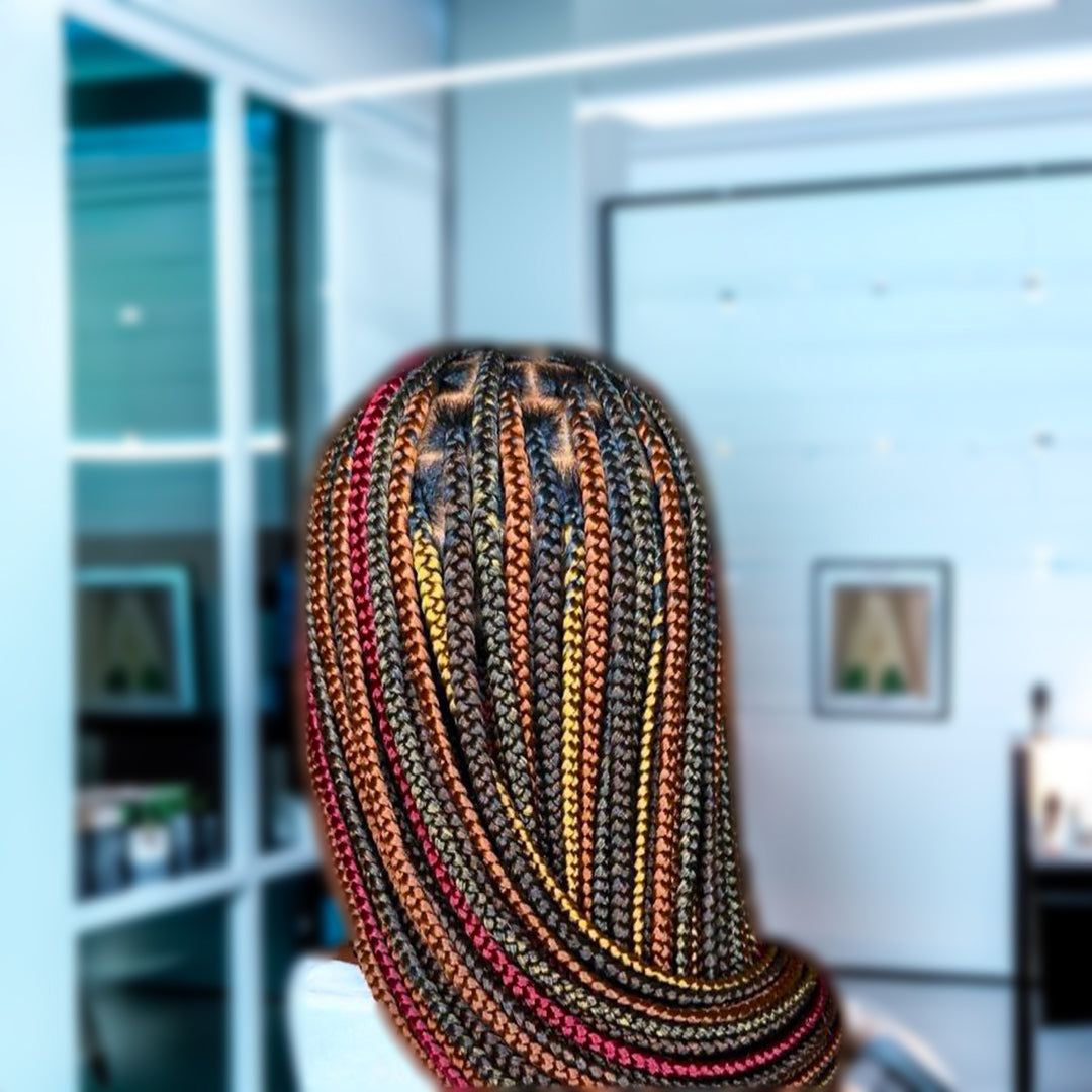 Back View Visual Idea — Ombre Knotless Braids 2027