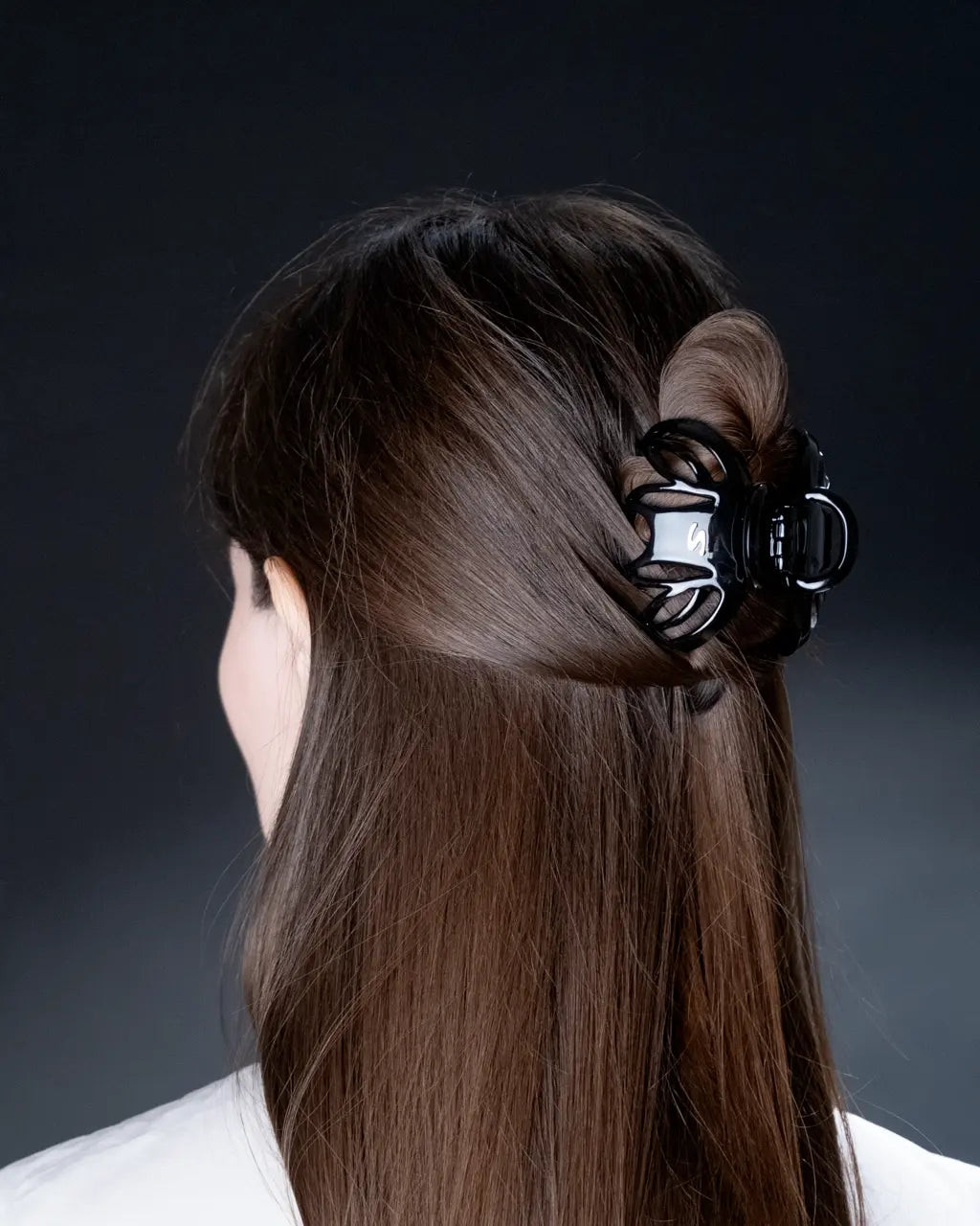 Side Visual Idea Side Visual Idea — Claw Clip Twist Hairstyles 2027
