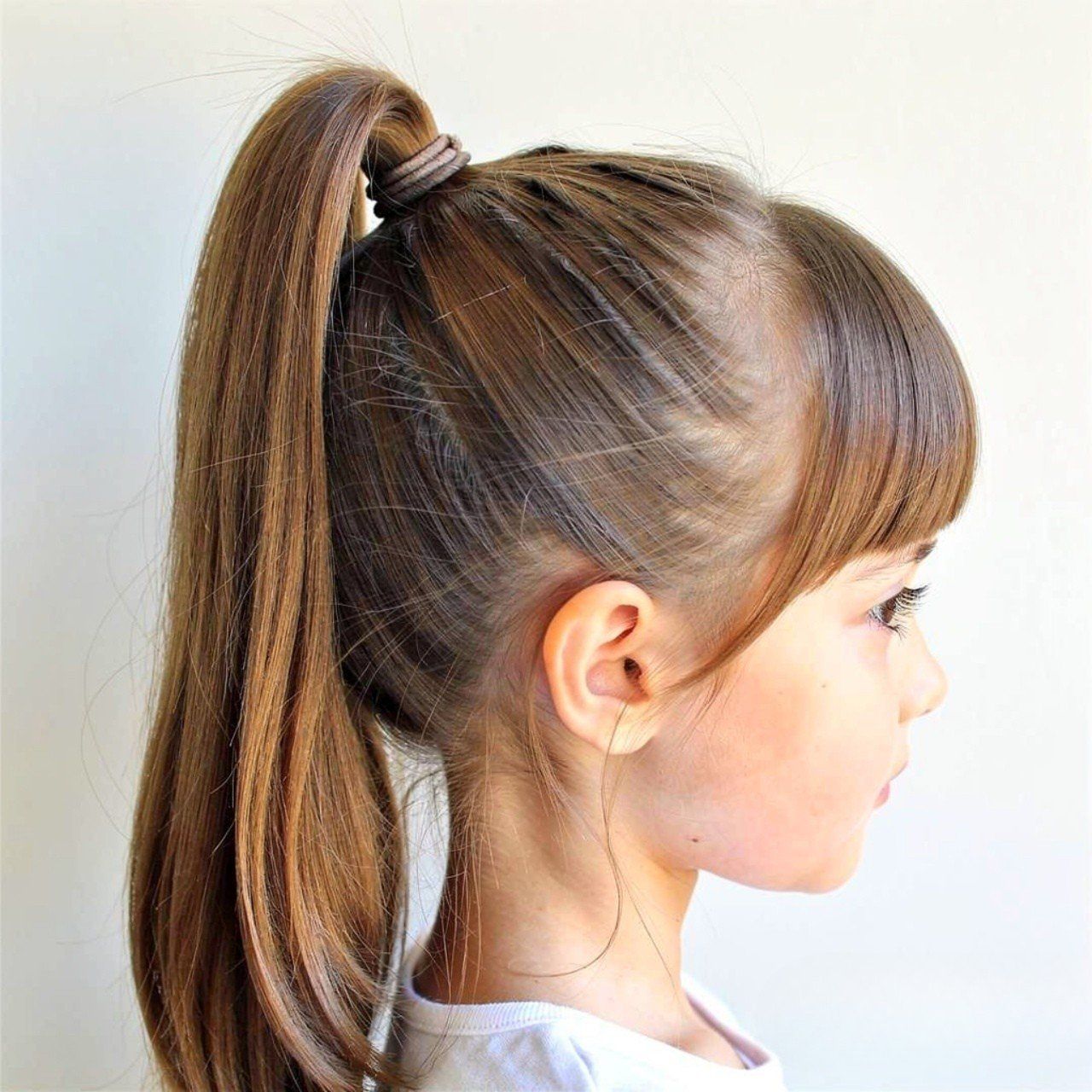 Medium Brown Visual Idea Medium Brown Visual Idea — Ponytail Hairstyles 2027 for School