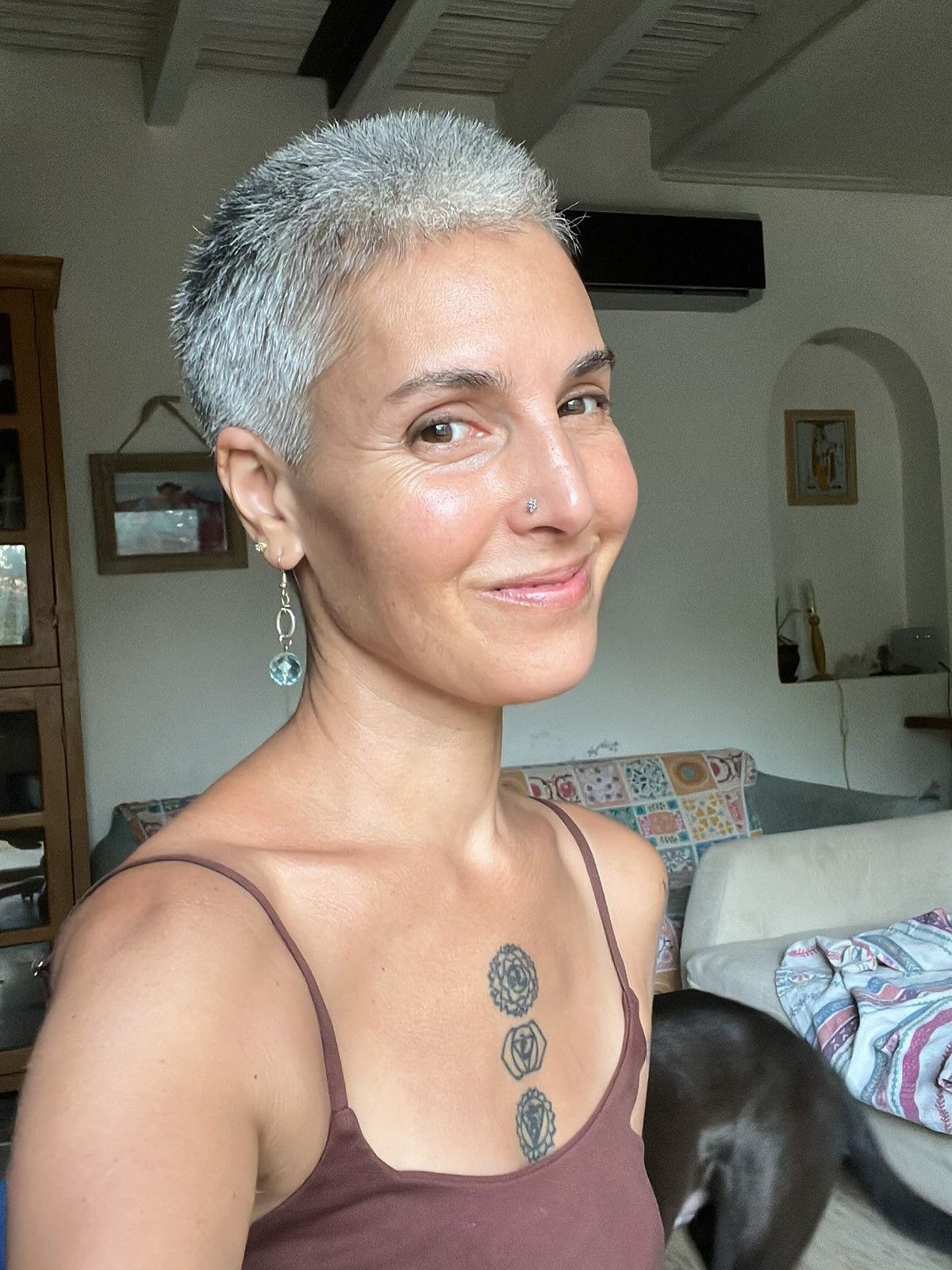 Tousled Pixie With Textured Crown Tousled Pixie With Textured Crown — Gray Blending Pixie 2027