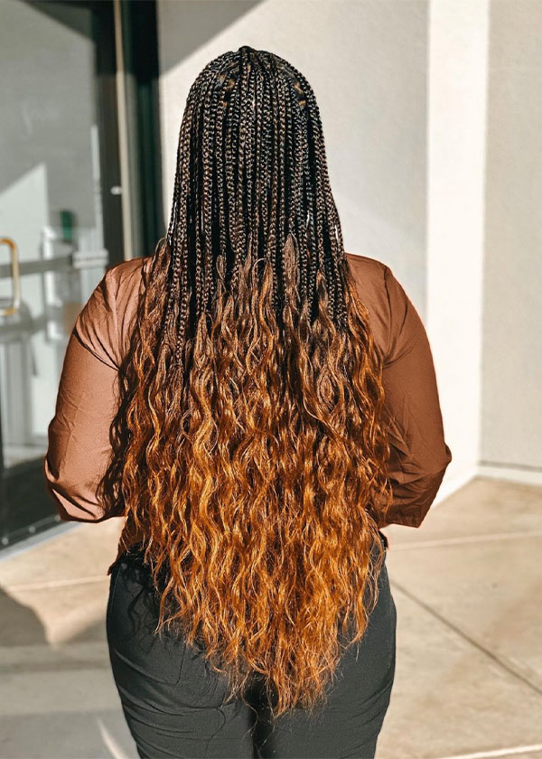Dark Brown Base With Ombre Ends Visual Idea — Long Knotless Braids 2027