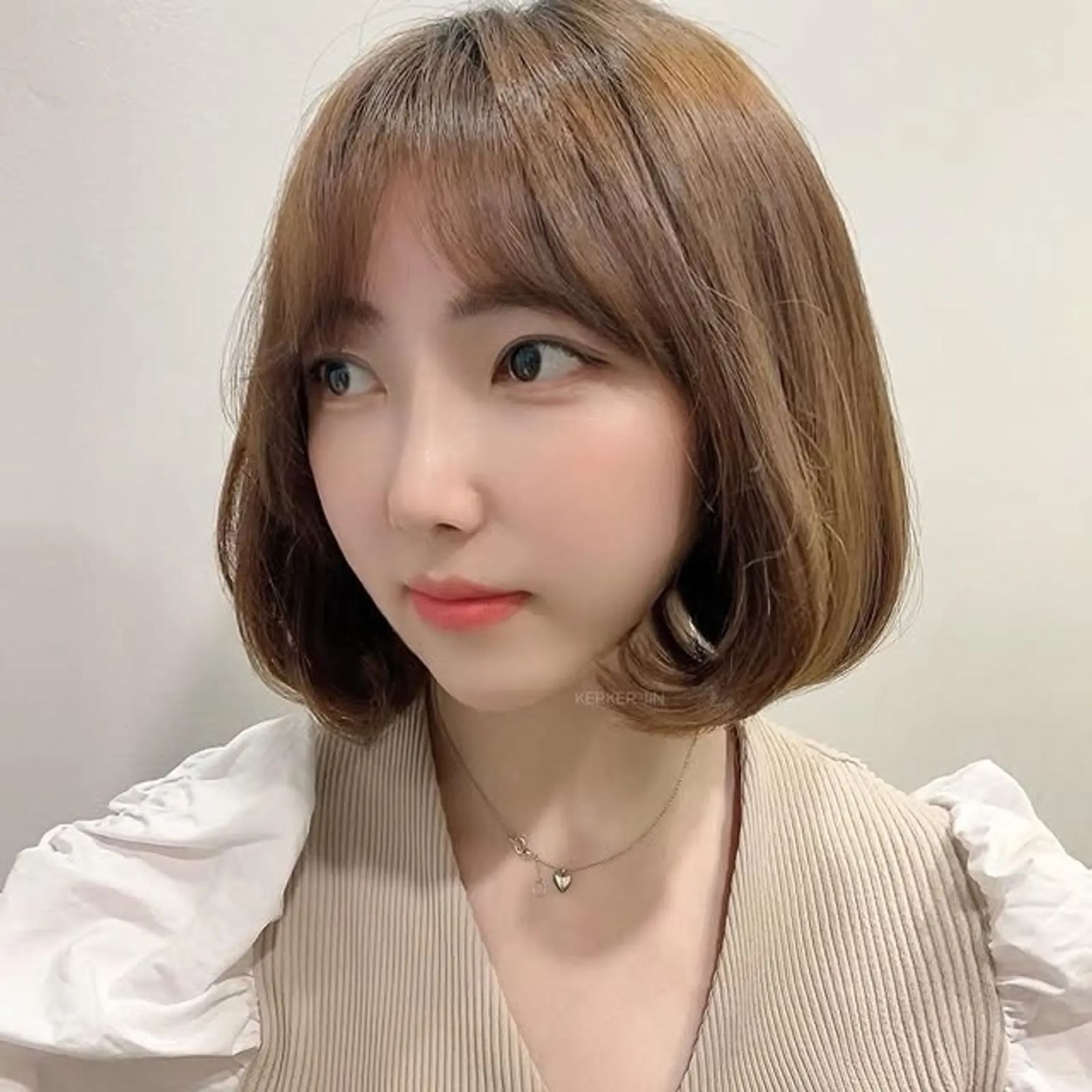 Chin Length Medium Brown Sleek Bob Chin Length Medium Brown Sleek Bob — Soft Bangs 2027