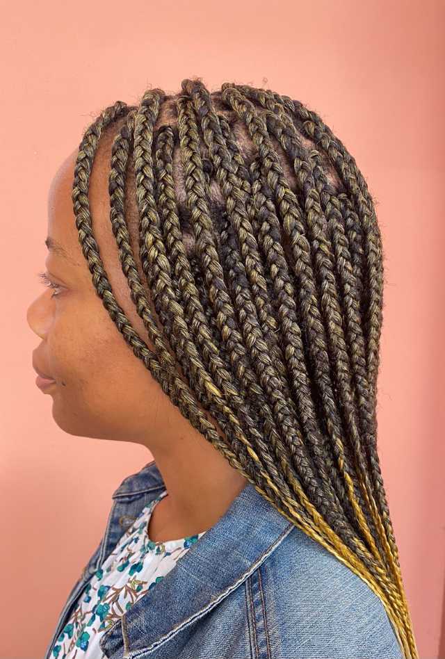Mid-Back Visual Idea Mid-Back Visual Idea — Summer Cornrows 2027