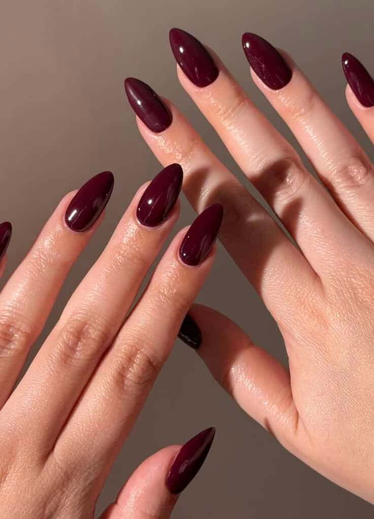 Dramatic Long Stiletto Burgundy — Burgundy Nails 2027