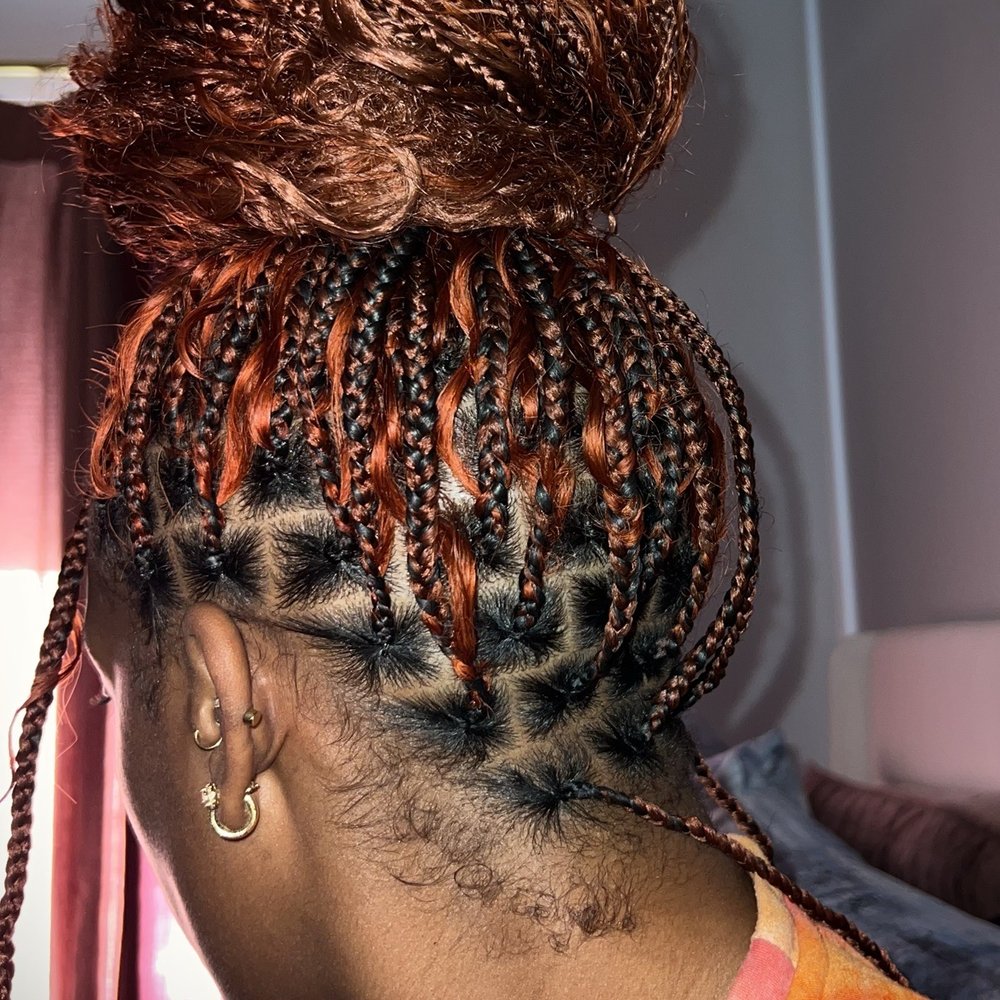 Mid-Back Box Braids in Bun With Tendrils — Tribal Braids 2027