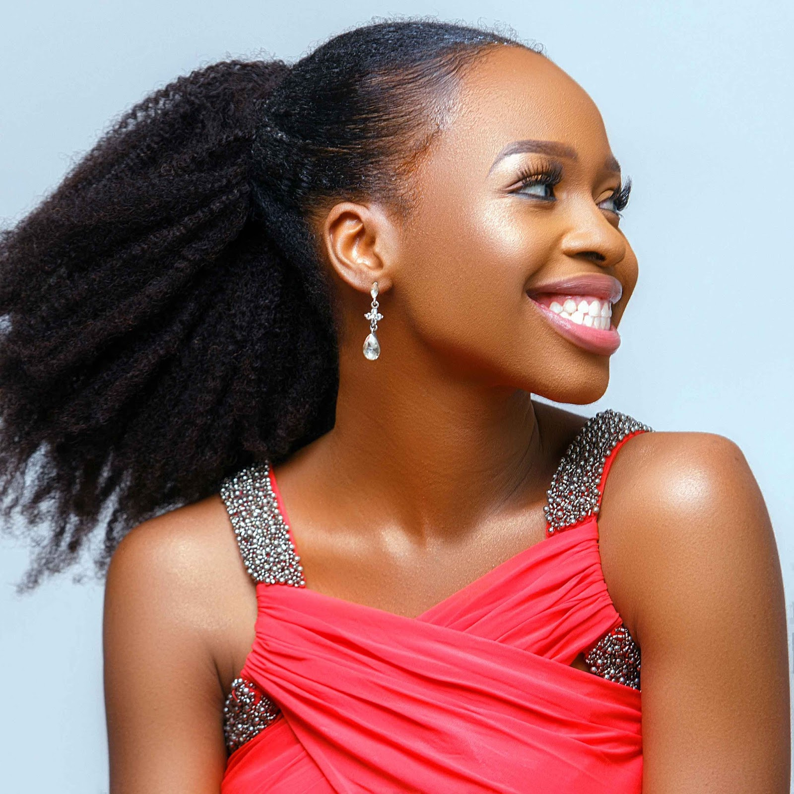 Mid-Back Visual Idea Mid-Back Visual Idea — Puff Hairstyles Natural Hair 2027