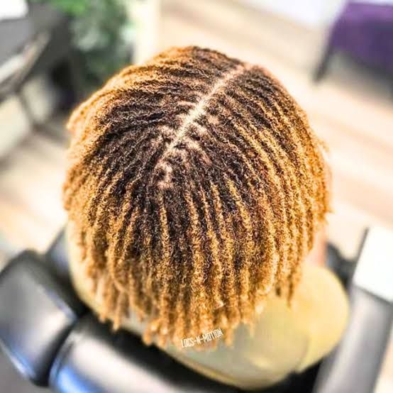 Shoulder Length Wavy Bob Shoulder Length Wavy Bob — Microlocs Locs 2027