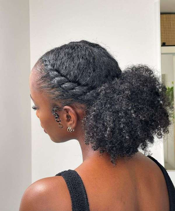 Layers Visual Idea Layers Visual Idea — Puff Hairstyles Natural Hair 2027
