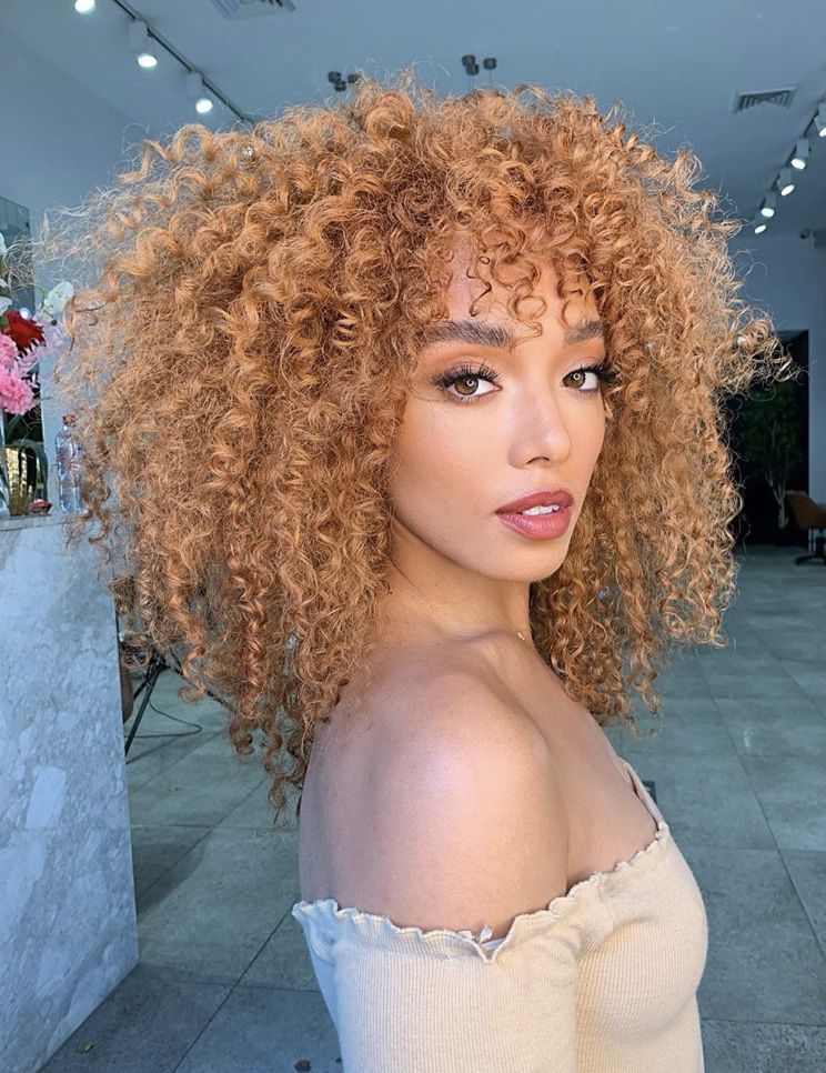 Warm Honey Blonde Afro Warm Honey Blonde Afro — Hair Color 2027 for Curly Hair