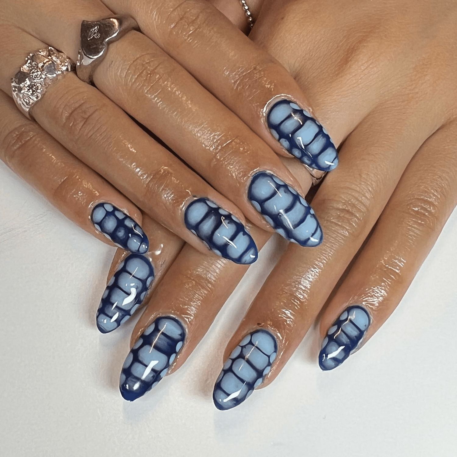 Light Blue With Dark Blue Outlines Visual Idea Light Blue With Dark Blue Outlines Visual Idea — Snake Print Nails 2027