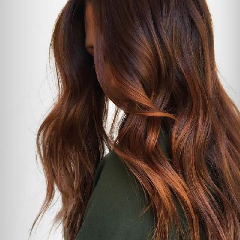Middle Visual Idea Middle Visual Idea — Rich Brunette 2027