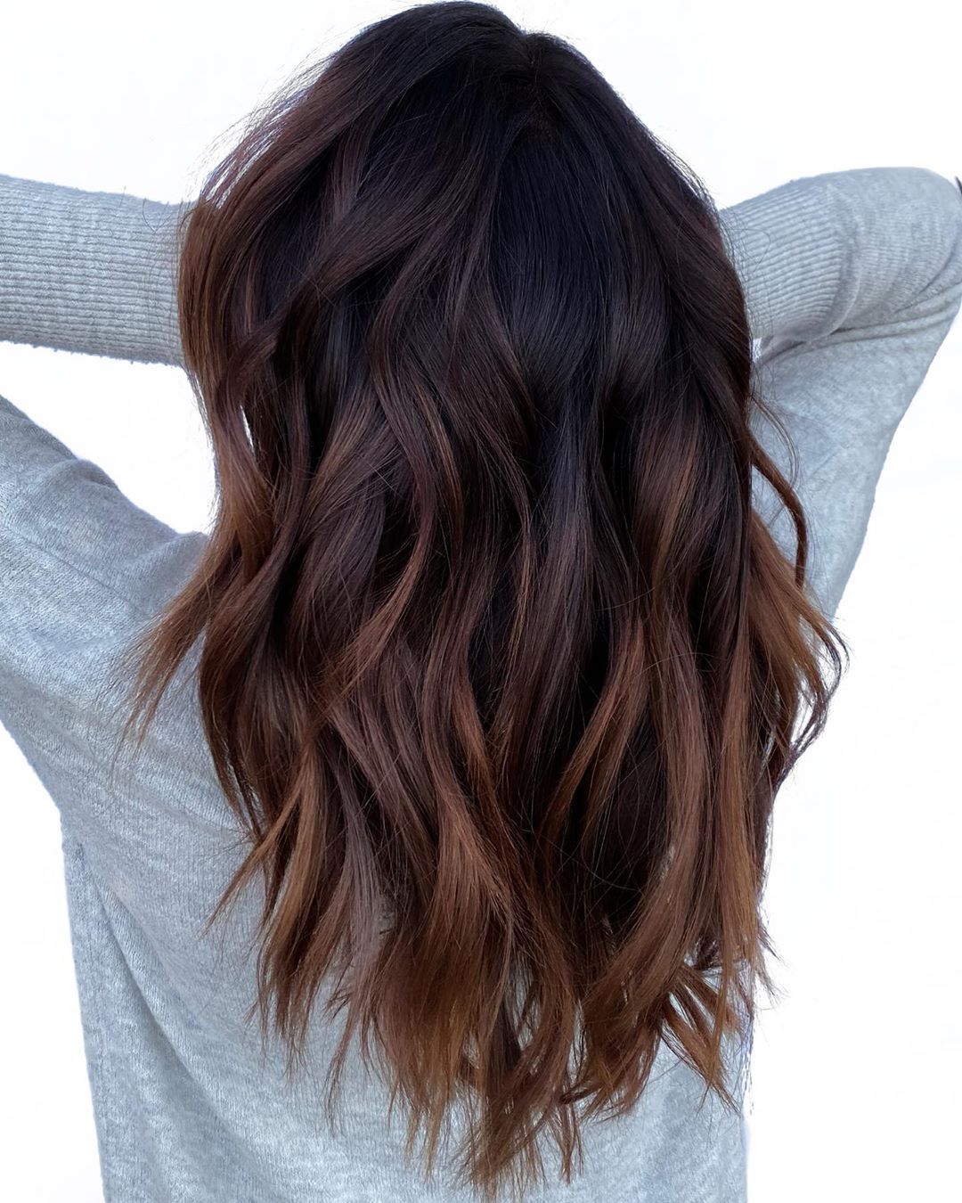 Back View Visual Idea Back View Visual Idea — Ombre Hair 2027