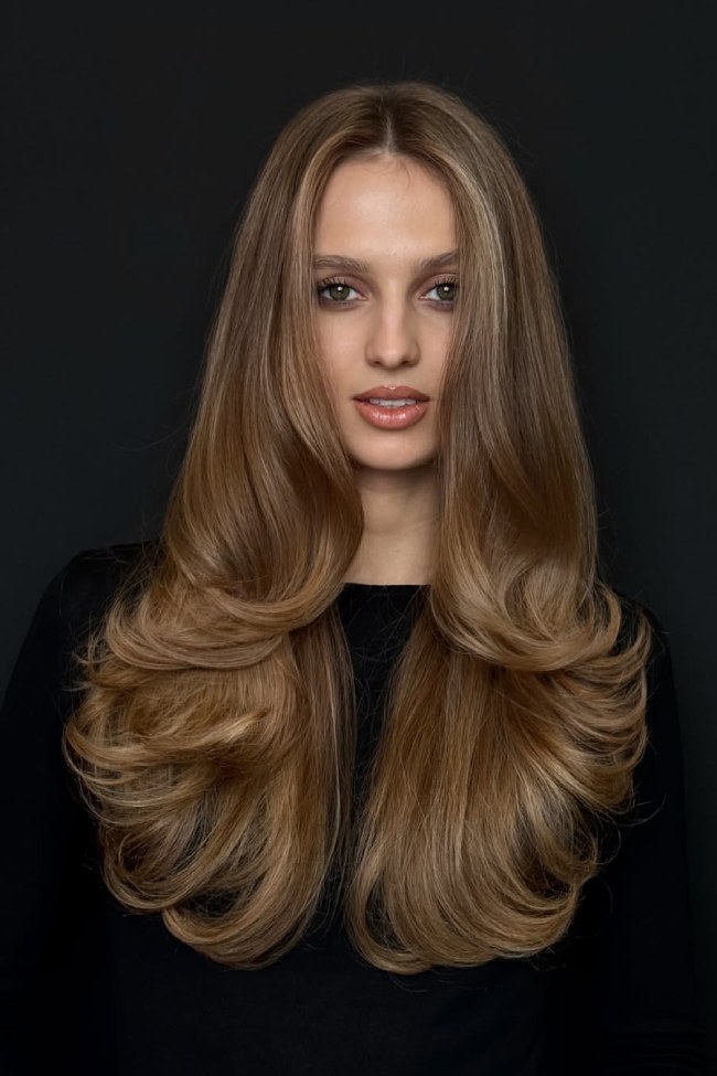Long Butterfly Layers Visual Idea Long Butterfly Layers Visual Idea — Hair Color 2027 for Pale Skin