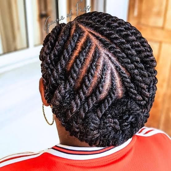 Layered Visual Idea Layered Visual Idea — Twists Easy Hairstyles 2027