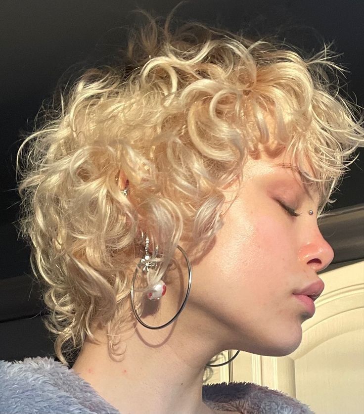 Ash Blonde Pixie With Bouncy Curls Ash Blonde Pixie With Bouncy Curls — Pixie 2027 for Curly Hair
