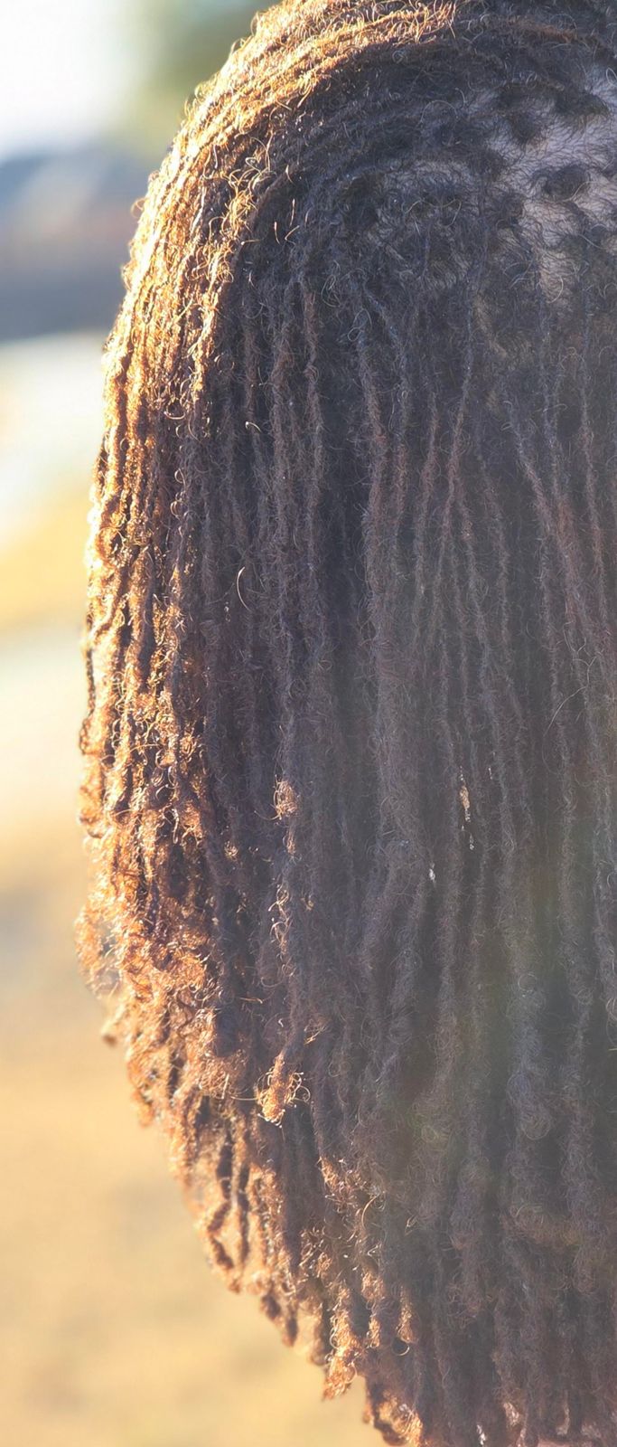 Dark Brown Visual Idea Dark Brown Visual Idea — Microlocs Locs 2027