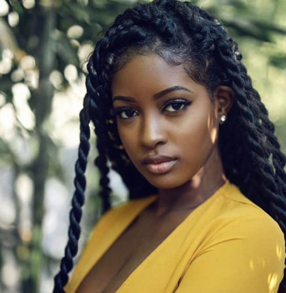 Two Large Braids — Holiday Party Hairstyles 2026