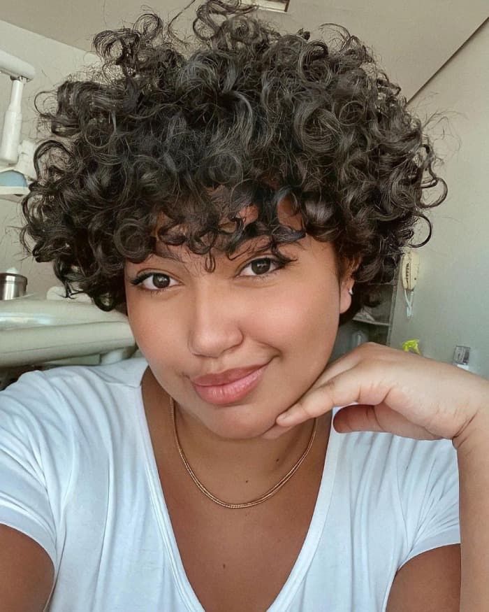 Dark Brown With Grey Streaks Visual Idea Dark Brown With Grey Streaks Visual Idea — Pixie 2027 for Curly Hair