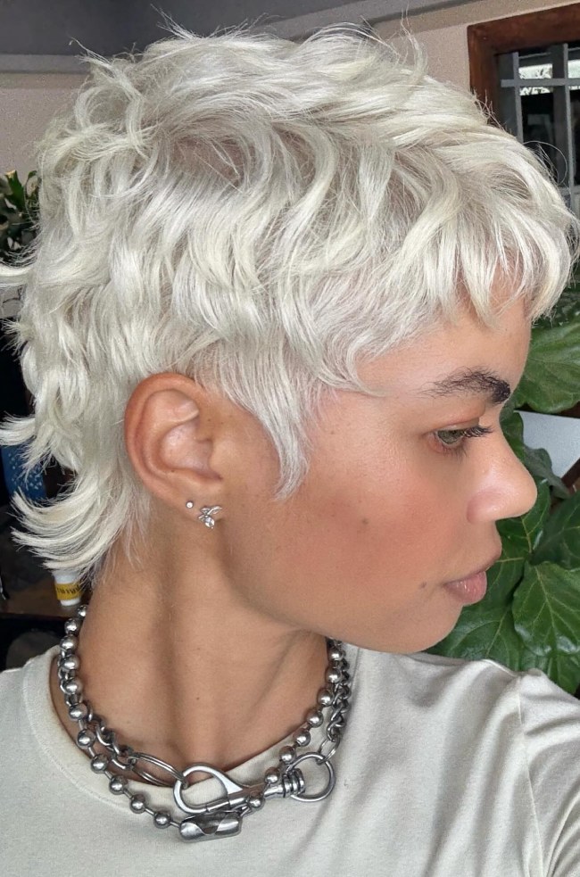 Shaggy Pixie Visual Idea Shaggy Pixie Visual Idea — Blonde Pixie 2027