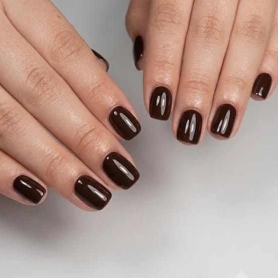 Deep Espresso Brown Glossy Nails Deep Espresso Brown Glossy Nails — Short Fall Nails 2026