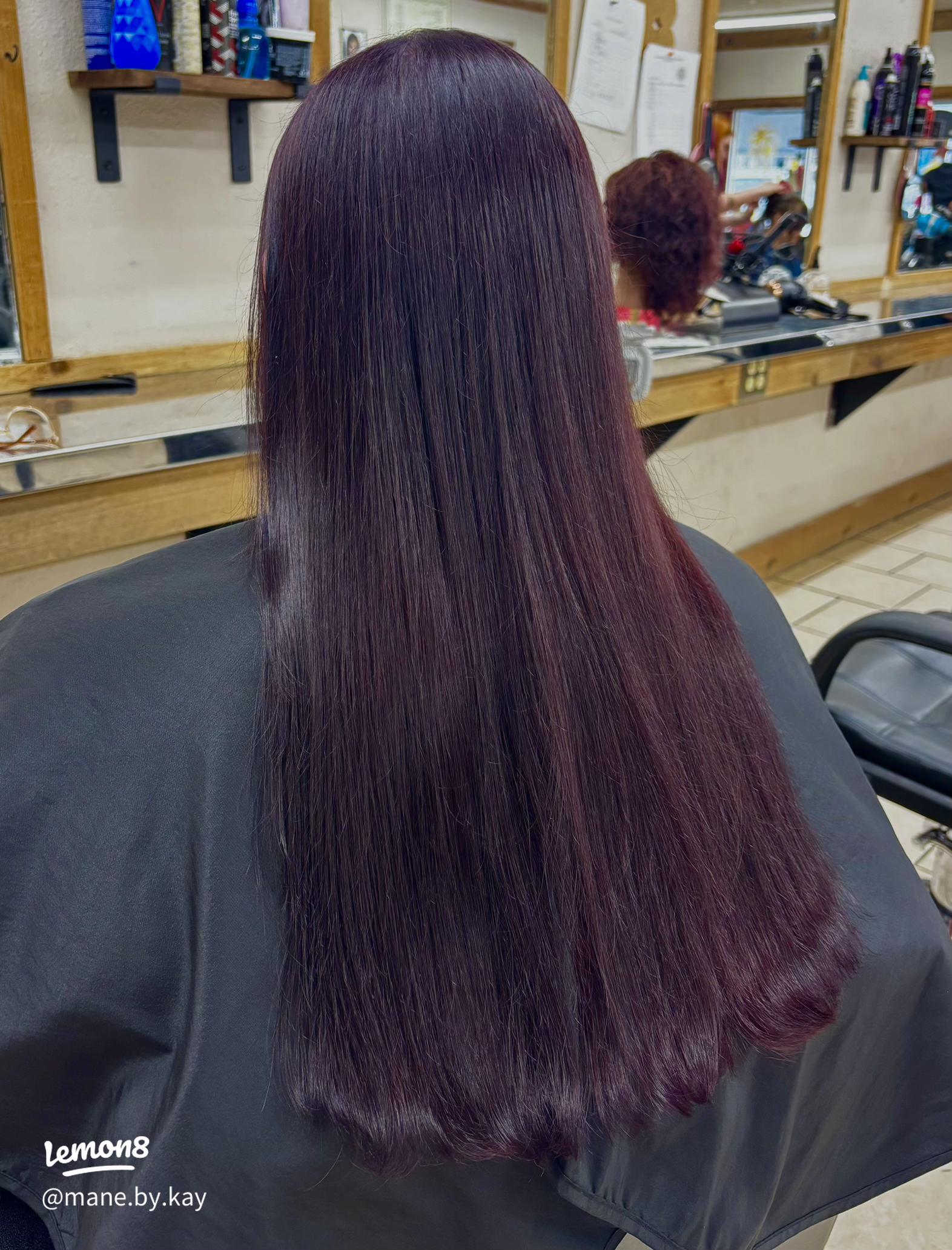 Deep Plum Mid-Back Blunt Cut Deep Plum Mid-Back Blunt Cut — Plum Hair 2027