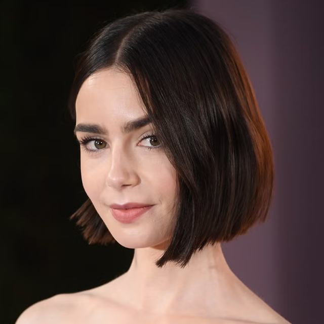 Sleek Chin Length Bob Sleek Chin Length Bob — Dark Brown Hair 2027