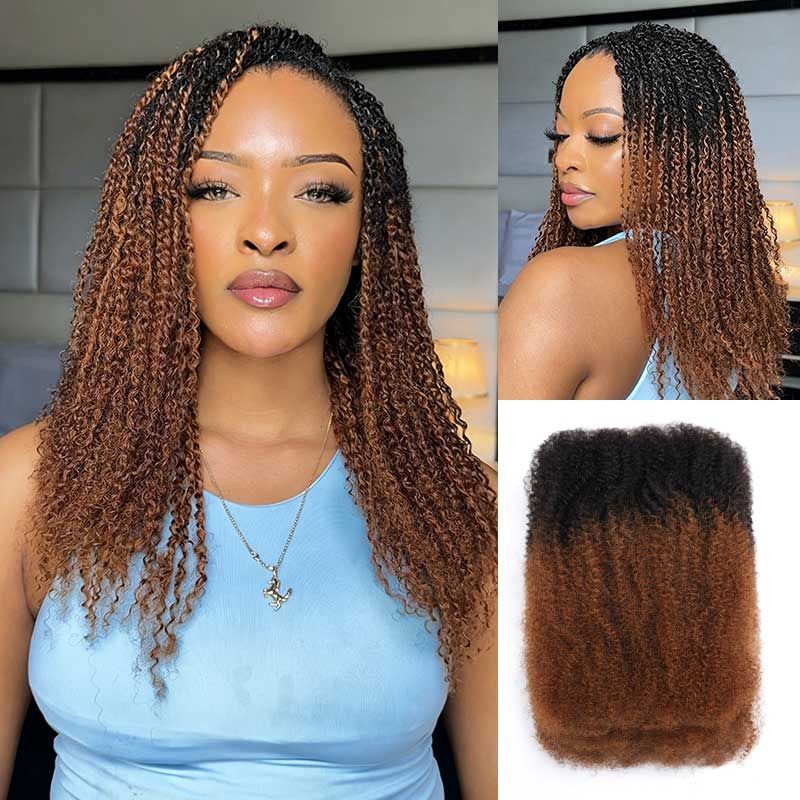 Ombre Knotless Braids 2027