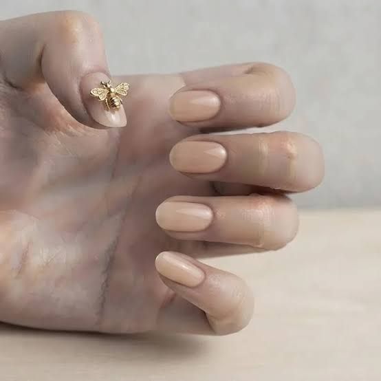 Subtle Sheer Nude with Gold Bee Charm Subtle Sheer Nude with Gold Bee Charm — Bee Nails 2027