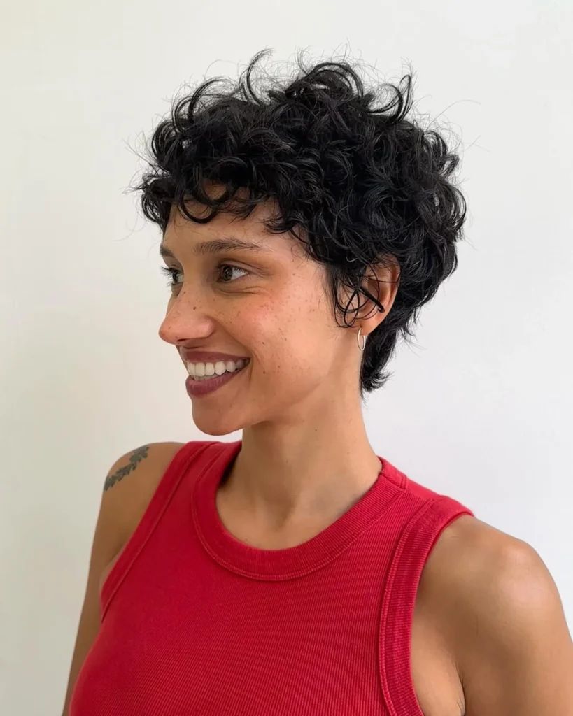 Short Black Pixie With Defined Curls Short Black Pixie With Defined Curls — Pixie 2027 for Curly Hair