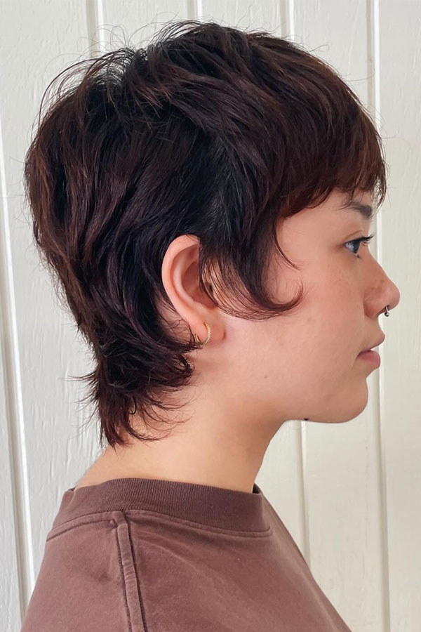 Visual Idea Visual Idea — Short Shag 2027