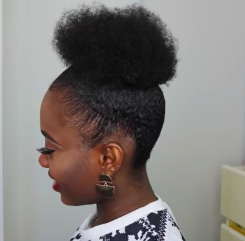 Natural Visual Idea Natural Visual Idea — Puff Hairstyles Natural Hair 2027