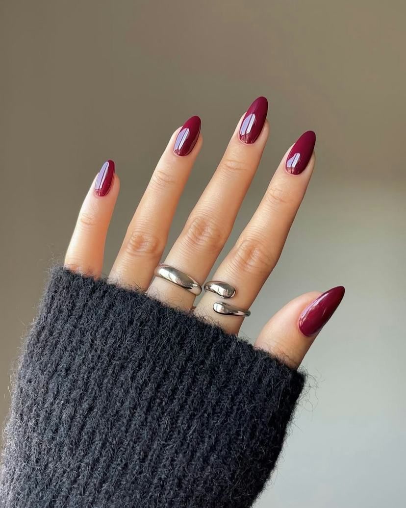 Solid Color Visual Idea — Winter Purple Nails 2027