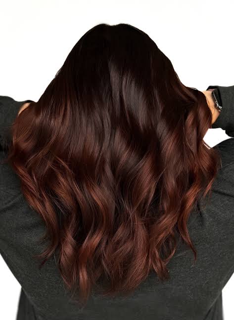 Dark Chestnut Red Brown Ombre — Chestnut Red Hair 2027