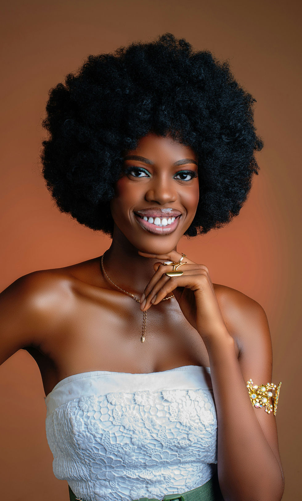 Shoulder Length Voluminous Afro Shoulder Length Voluminous Afro — 4C Hairstyles 2027