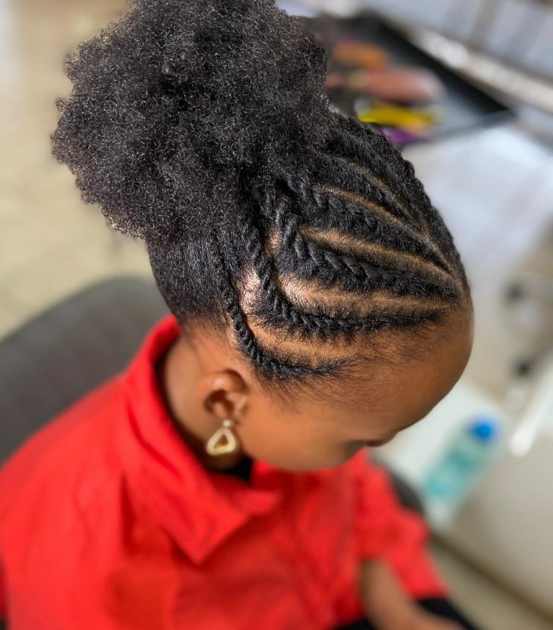Intricate Braids Meet High Puff Intricate Braids Meet High Puff — Puff Hairstyles Natural Hair 2027