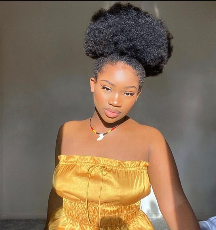 Front View Visual Idea Front View Visual Idea — Easy Natural Hairstyles 2027
