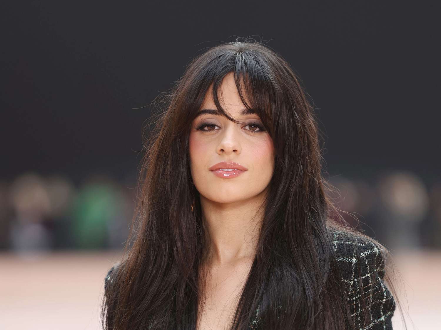 Mid-Back Dark Brown Hair With Whisper Fringe Mid-Back Dark Brown Hair With Whisper Fringe — Low Maintenance Bangs 2027