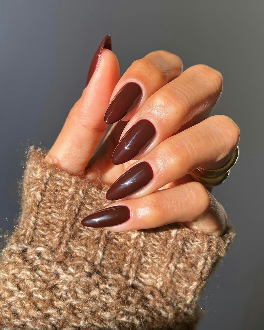 Deep Chocolate Brown Glossy Stiletto Nails — Winter Dip Nails 2027