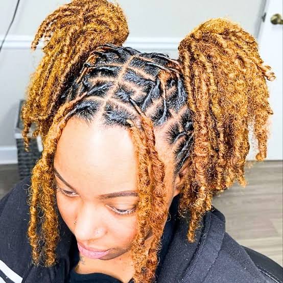 Golden Blonde Visual Idea — Blonde Locs 2027