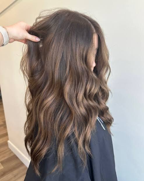 Mid-Back Dark Brown With Blended Caramel Highlights Mid-Back Dark Brown With Blended Caramel Highlights — Fall Hair Colors 2026