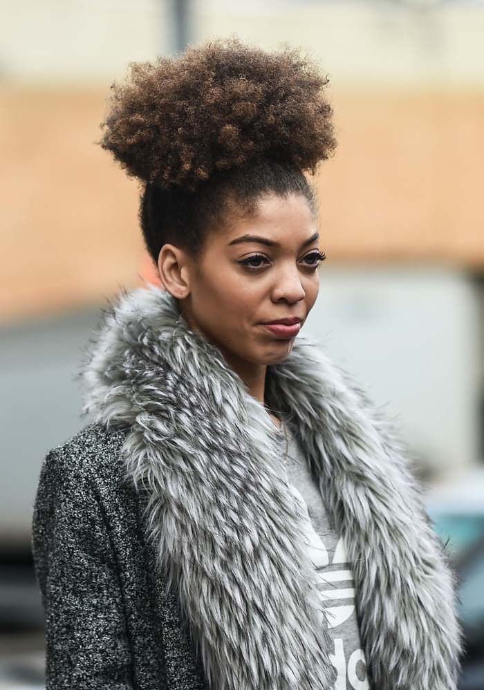 High Afro Puff in Dark Brown High Afro Puff in Dark Brown — Winter Hairstyles 2027 for Black Women